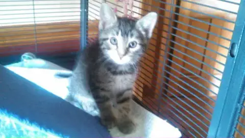 Lilly photo 3