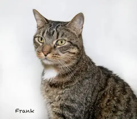 Frank