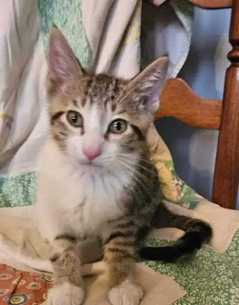 Barnaby