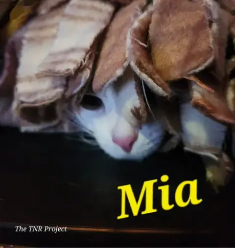 Mia photo 4