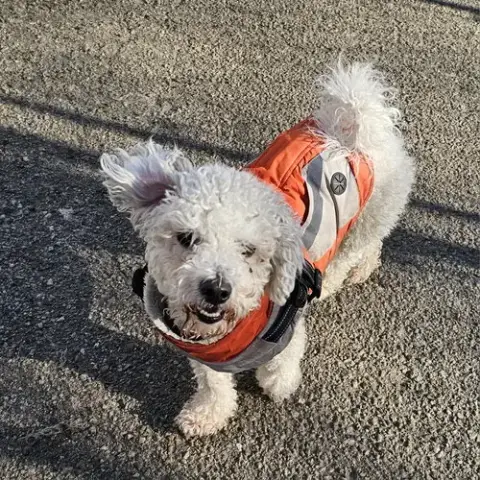 Max photo 5