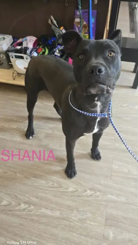 Shania