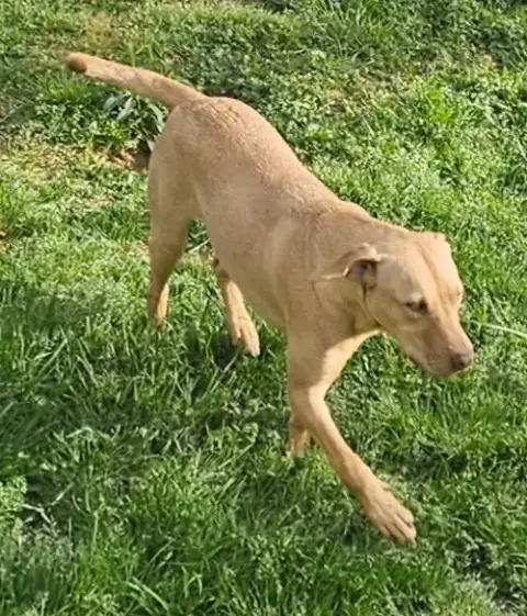Woody photo 2