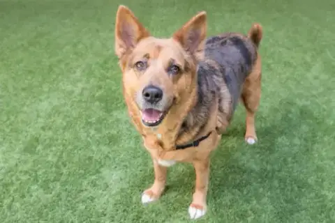 Mako The Senior! photo 3