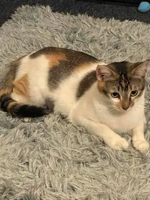 Callie photo 3