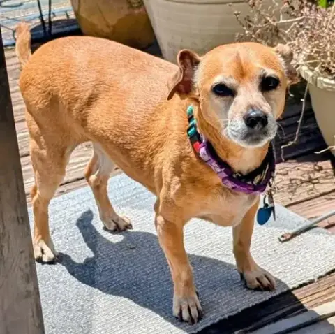 Lily Nason Nj photo 3