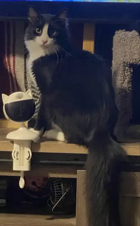 Figaro