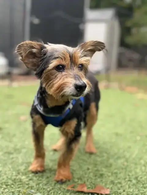 Murphy photo 2