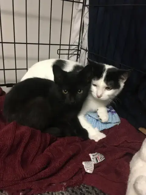 Alexis Bonded With Jackie