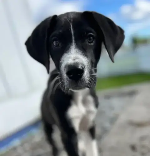 Zeus photo 4