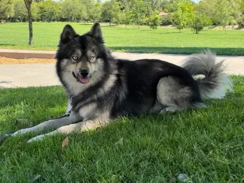 Wes photo 2