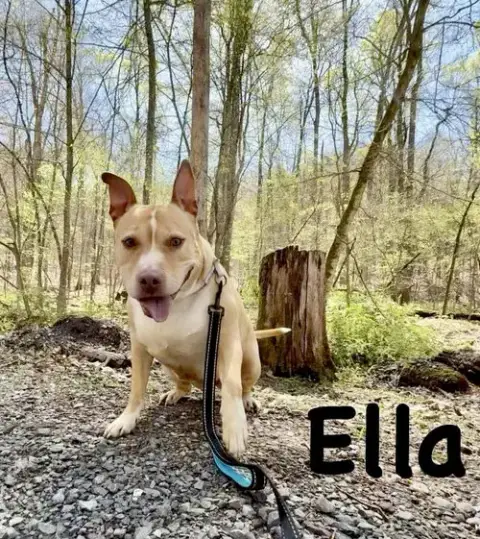 Ella photo 5