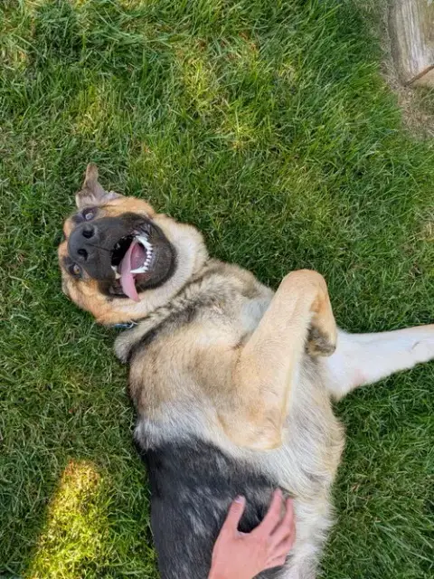 Luna photo 2