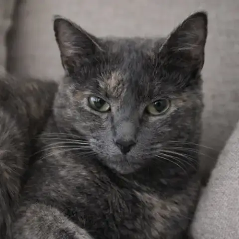 Annabella photo 4
