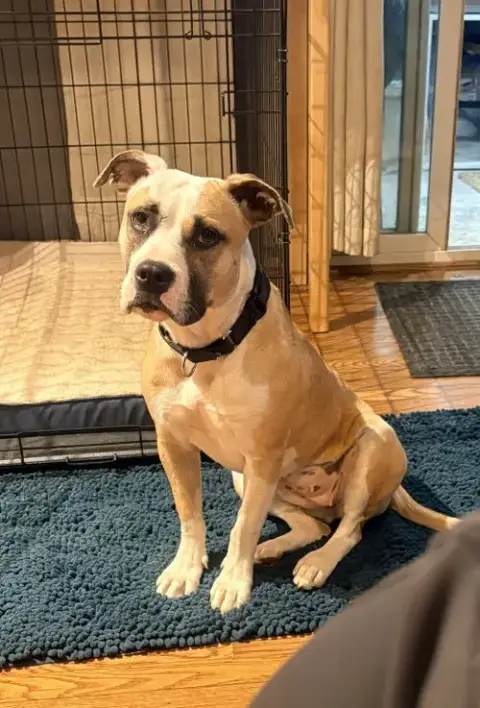 Roxy