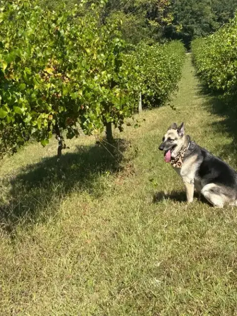 Maggie photo 5