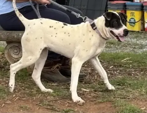 Chloe: Not At Shelter photo 4