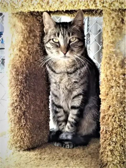 Cisco photo 2