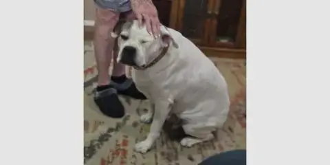 Rosie Vi