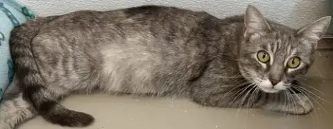 Flopsy photo 2