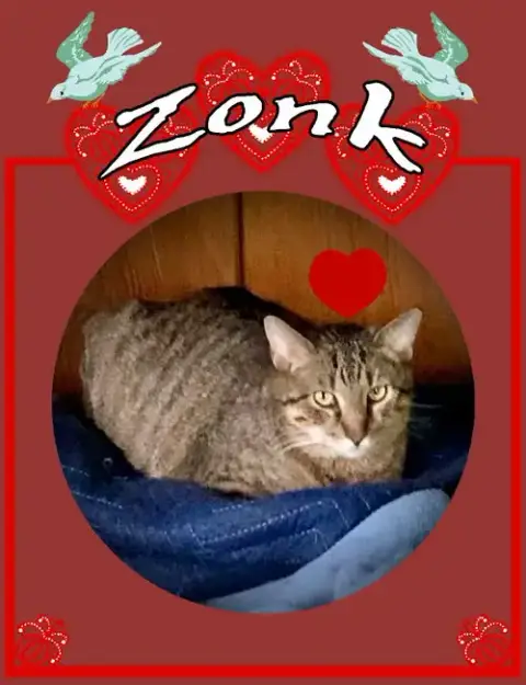 Zonk