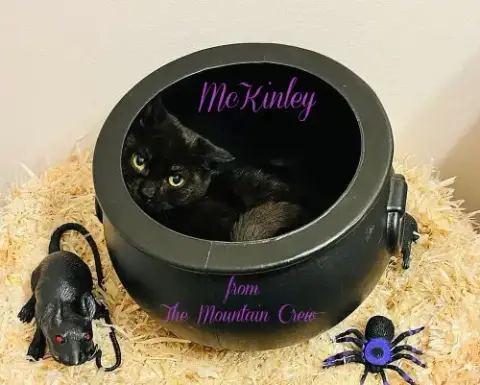 Mckinley photo 3