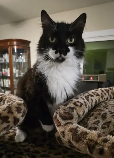 Charlie photo 4