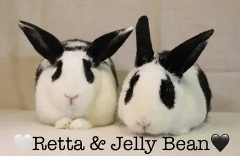 Retta