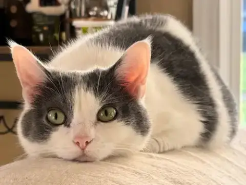 Seltzer photo 2