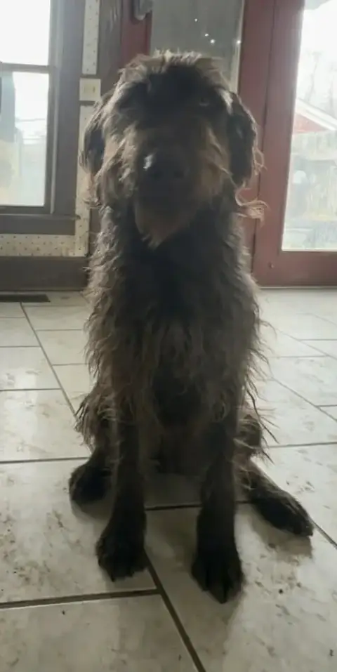 Leroy