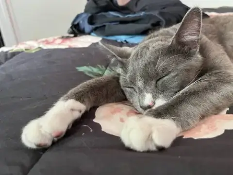 Oliver