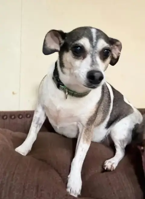 Luke-In A Foster Home photo 2