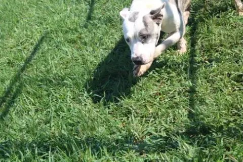 Susie Q photo 2