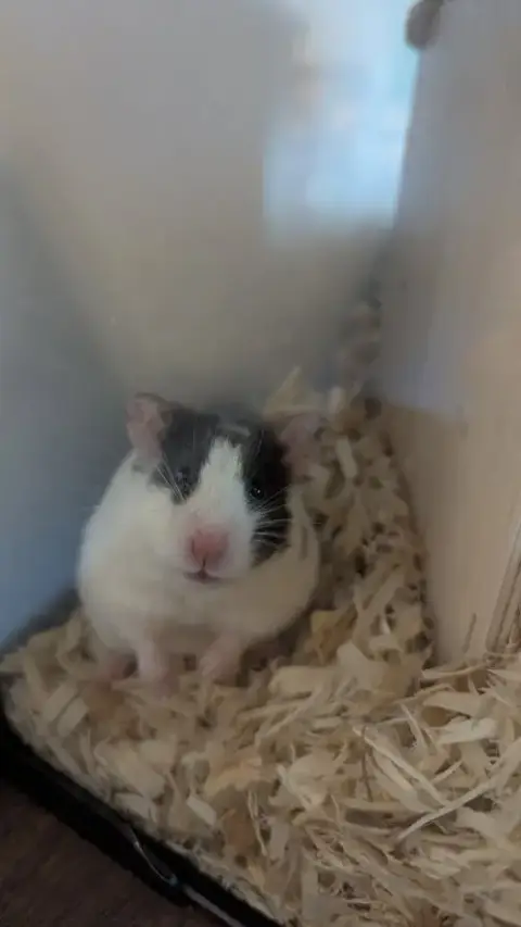 Missy photo 2