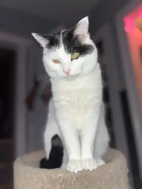 Frankie
