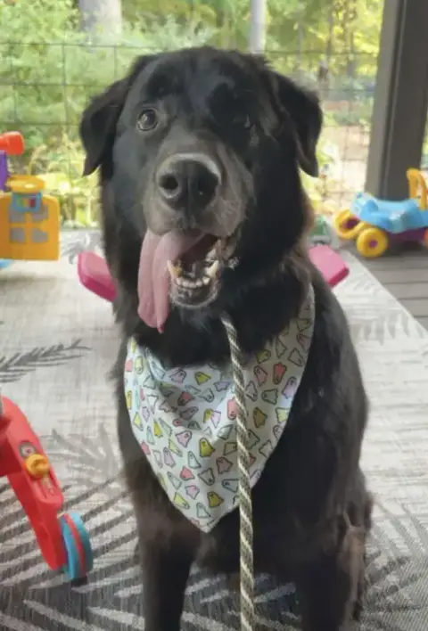Darwin