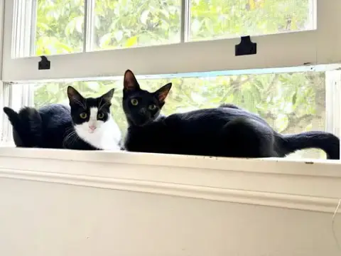 Mr Bing Bing & Ms Ming Ming photo 3