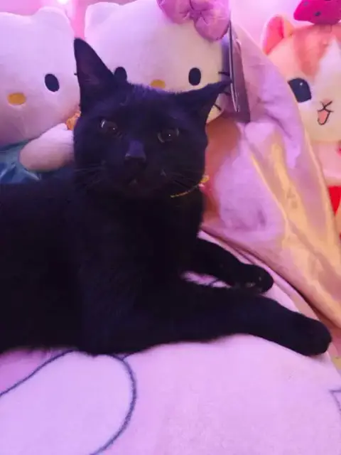 Precious photo 3