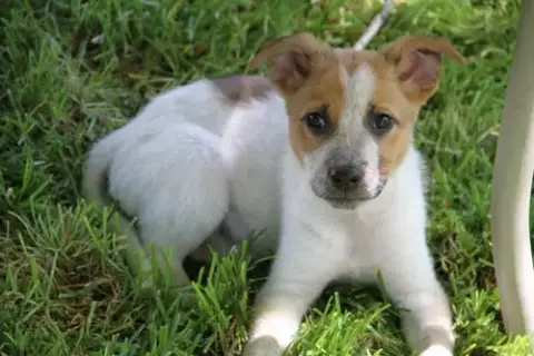 Mr. Banks photo 3