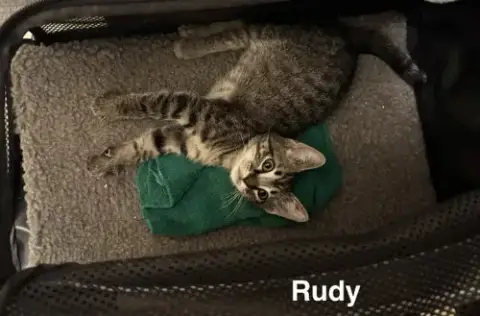 Rudy 3.15.26 photo 2
