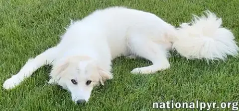 Luna In Nj photo 3