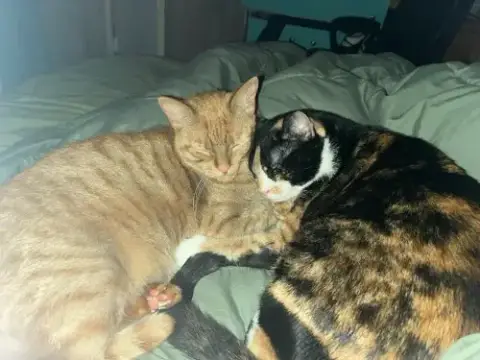 Nala & Squish photo 3