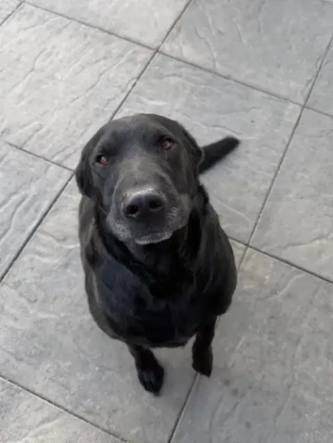 Tobey photo 2