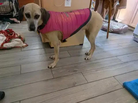 Arya photo 5