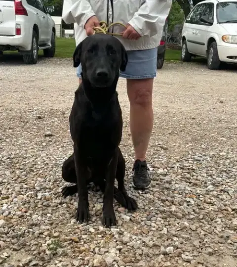 Buster