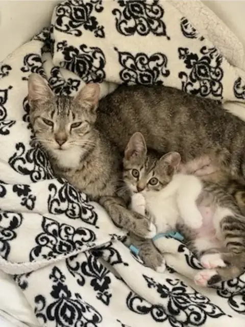 Baby photo 2
