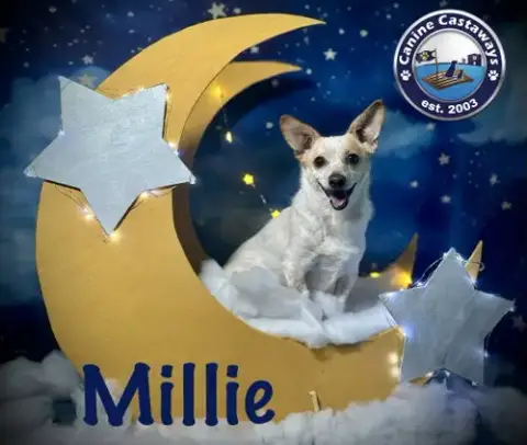 Millie