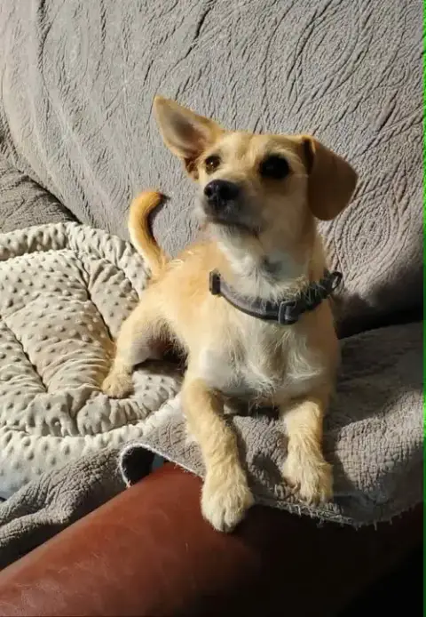 Slinky