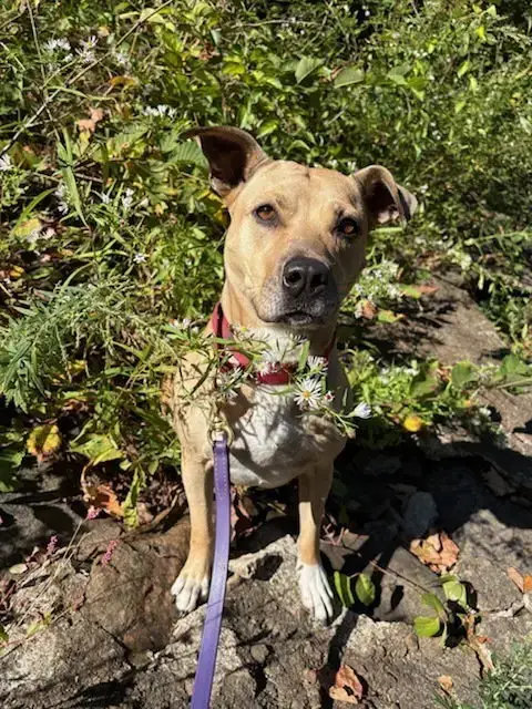 Maggie Moo photo 4