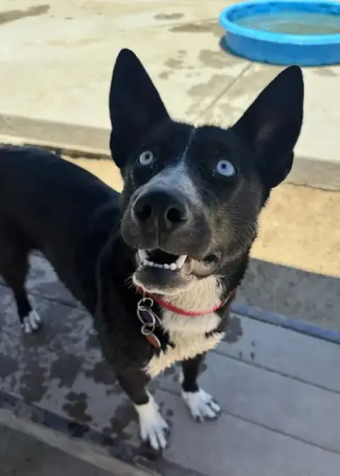 Elsa photo 4